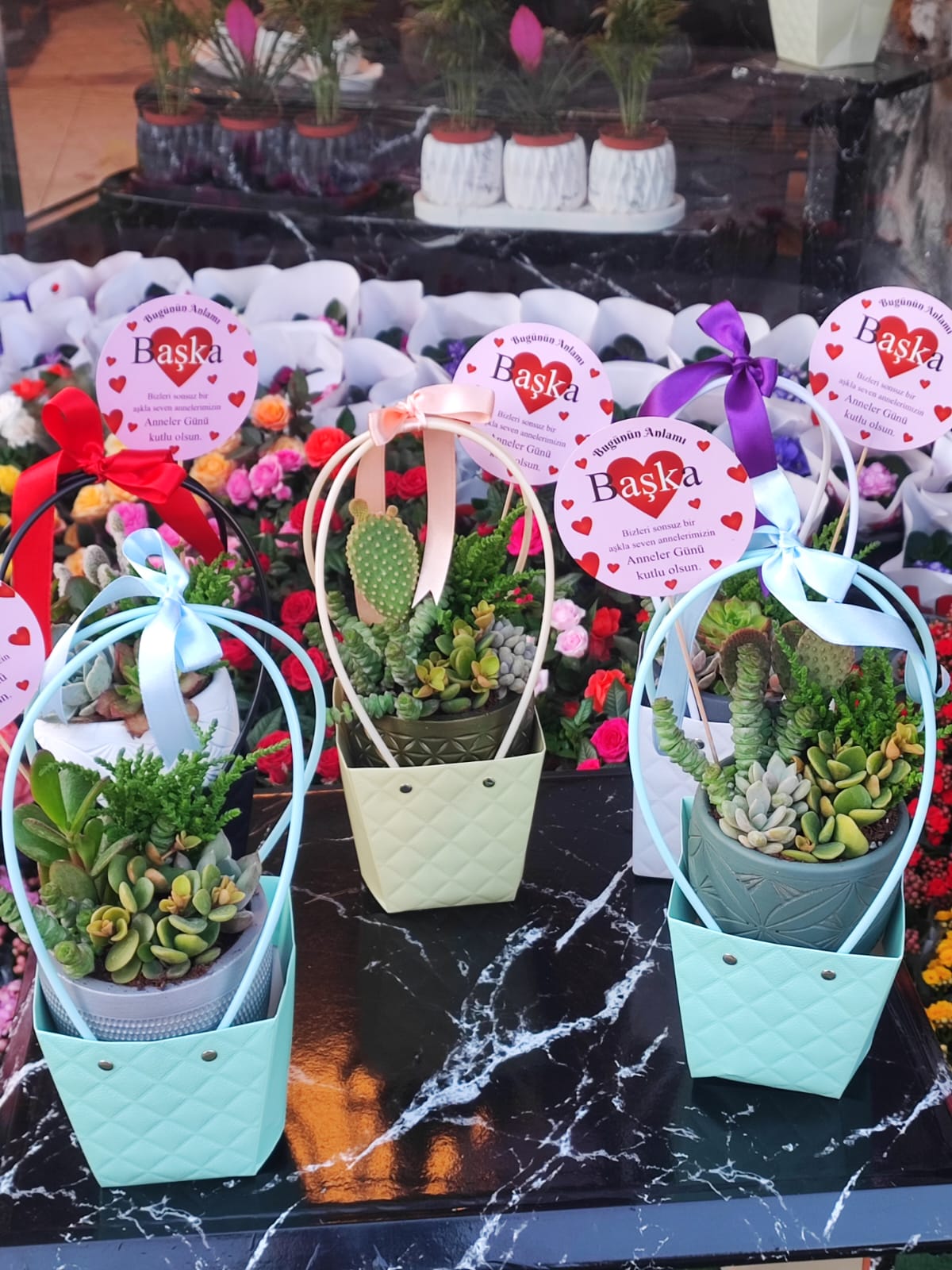 ÇANTALI SUKULENT - Görsel 3