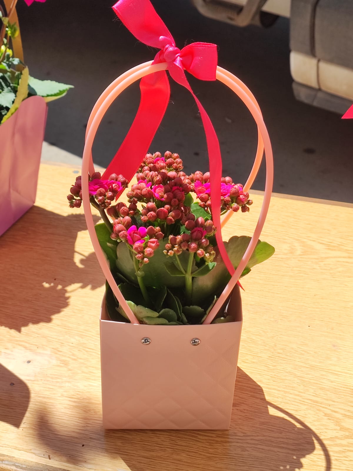 ÇANTALI KALANŞO - Görsel 3